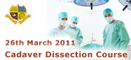Cadaver Dissection Course
