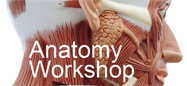 Anatomy Workshop 